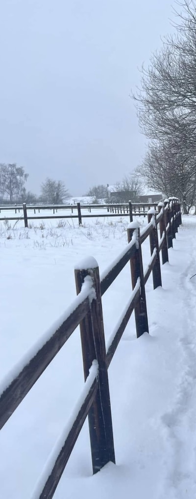 Sortie4-en-prairie-cote-poney-Braine-le-Chateau