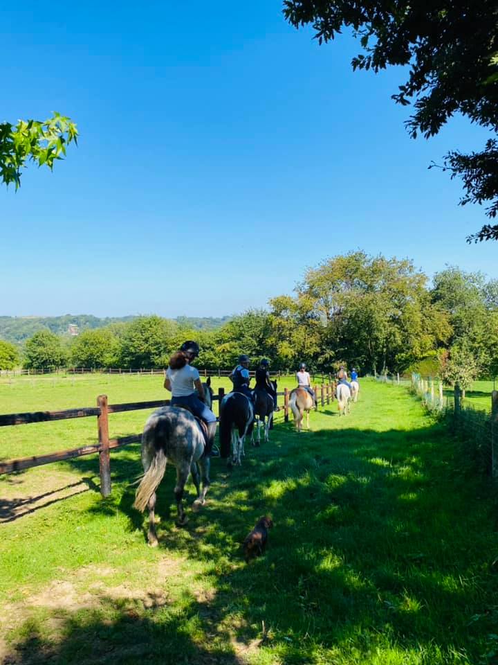 Sorties-en-prairie-cote-poney-Braine-le-Chateau