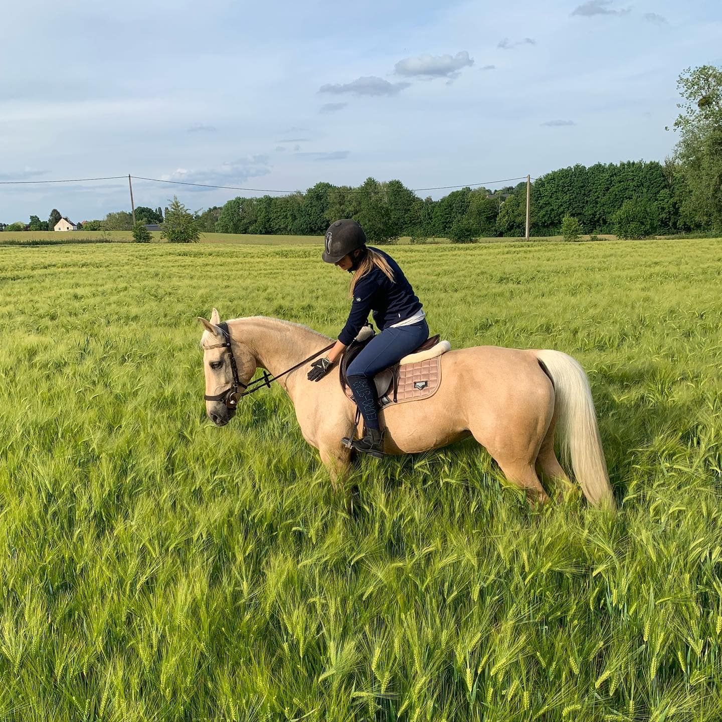 helena-cote-poney-Braine-le-Chateau